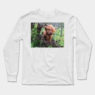 Scottish Highland Cattle Calf 2033 Long Sleeve T-Shirt